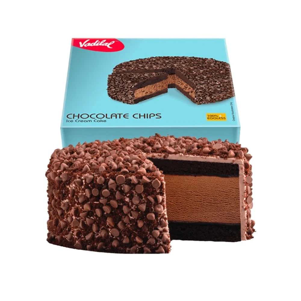 Vadilal Chocolate Chips Ice Cream Cake 500GM