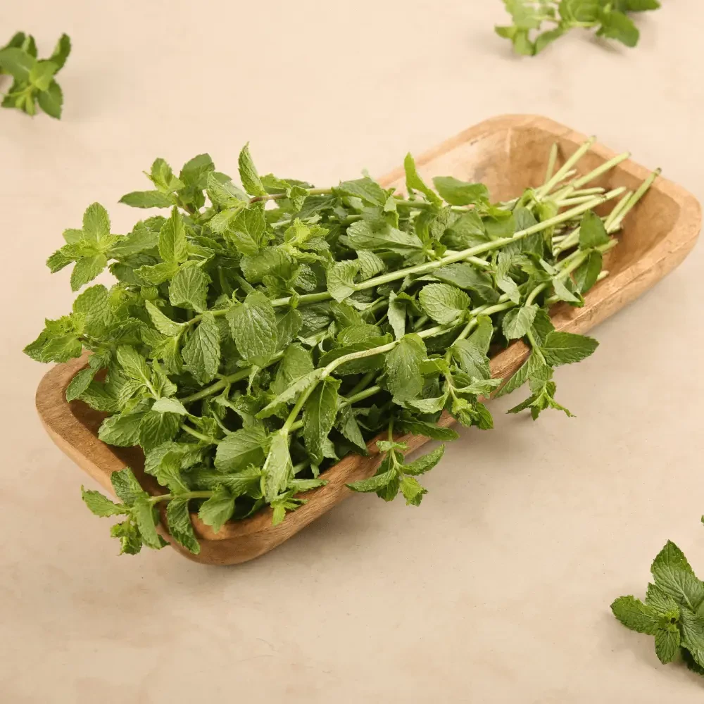 Mint Leaves 100gm ( Pudinta Patta)