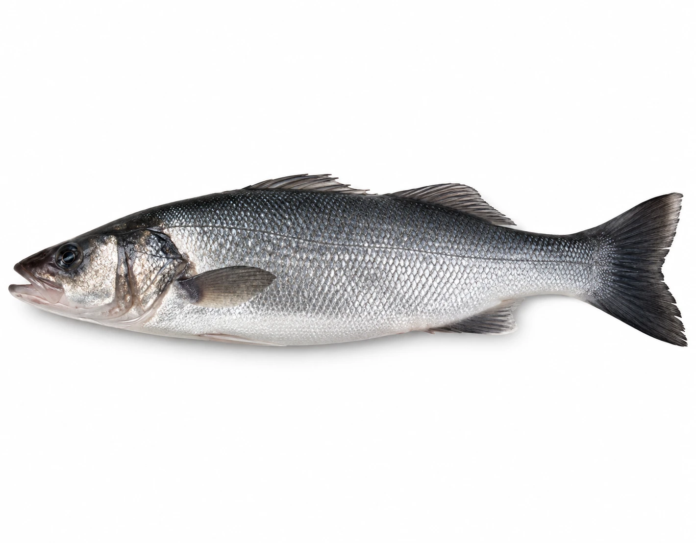 Fresh Kalanchi Fish 500 g