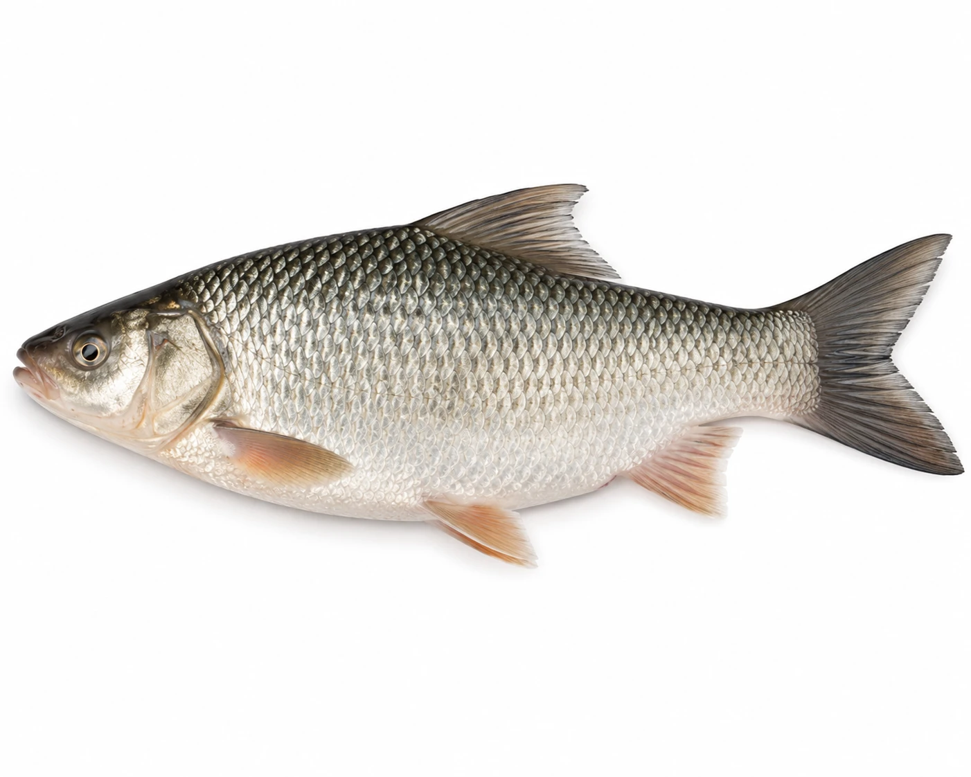 Bhagan Fish 500 g