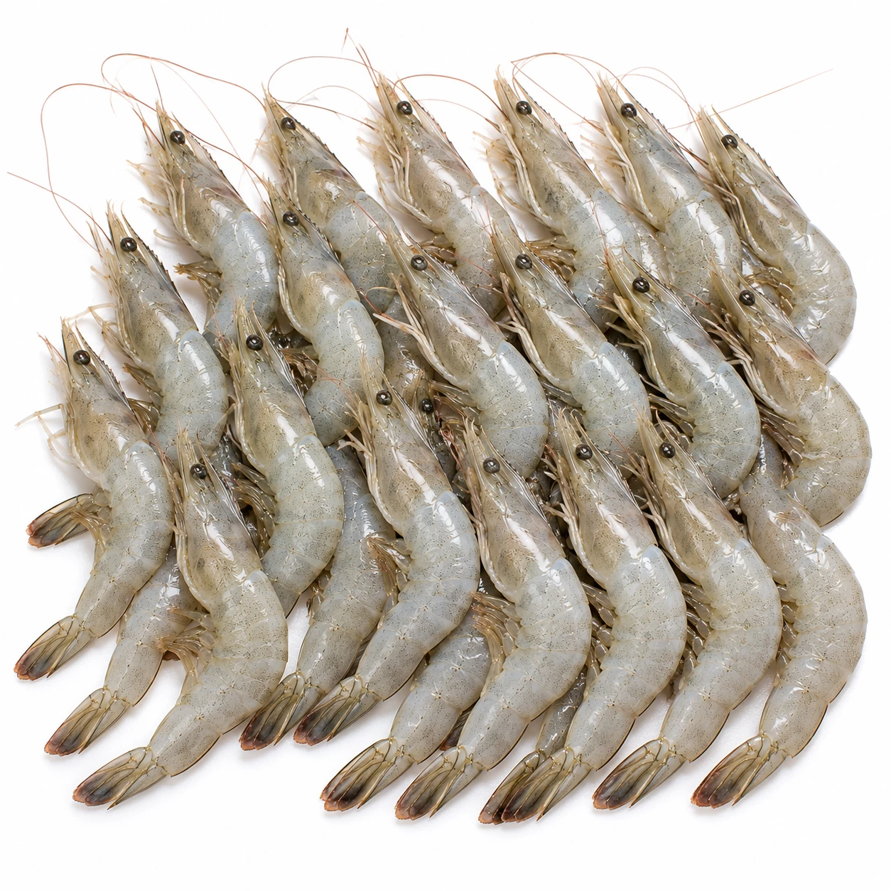 Vannamei Prawns 250 g – Small Vannamei Prawns